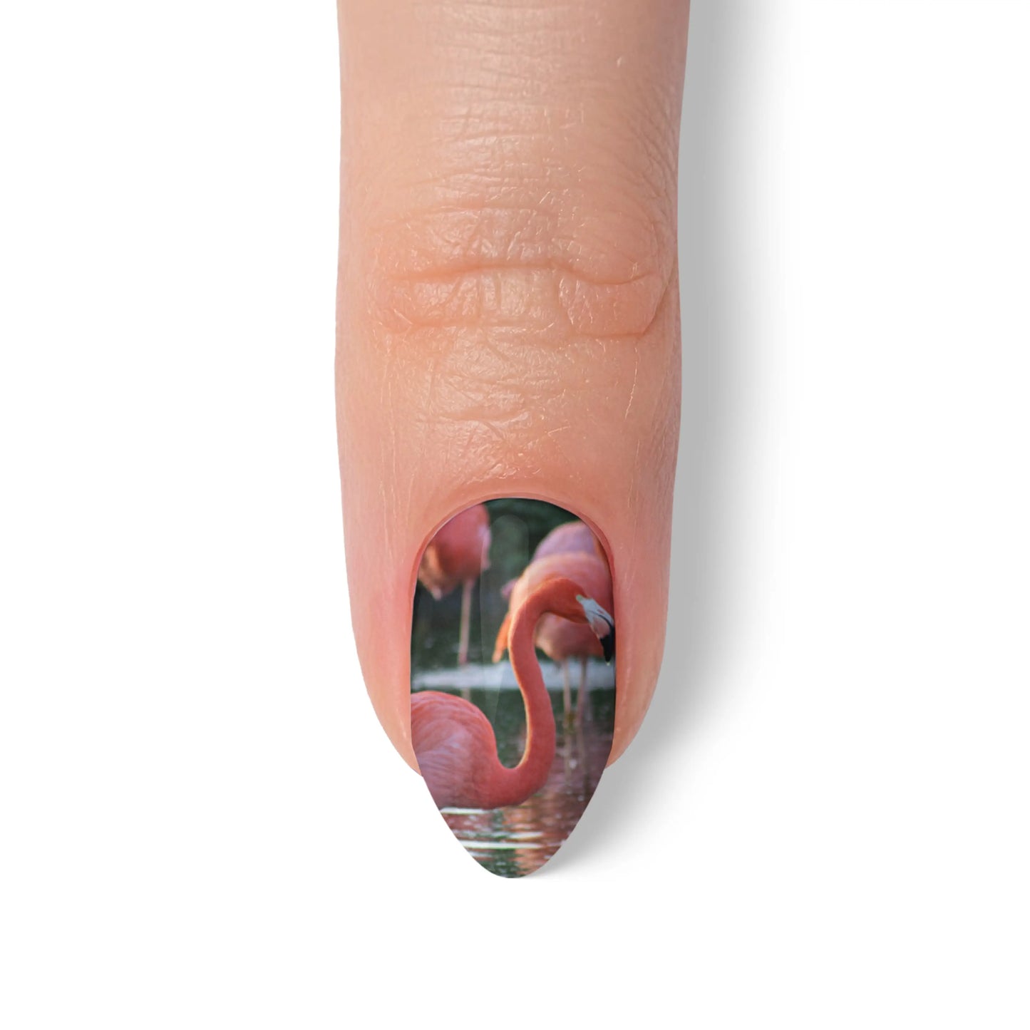 Almond Custom Nail Art Press On Nails (Design Your Own) - Custom Nail Art