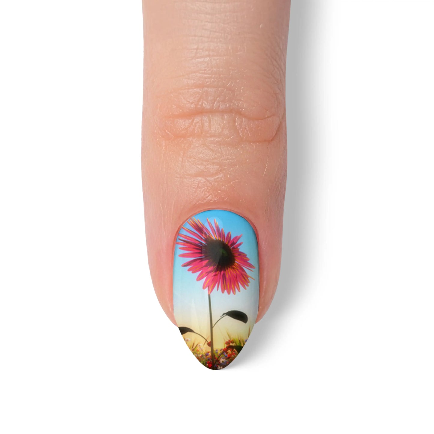 Almond Custom Nail Art Press On Nails (Design Your Own) - Custom Nail Art
